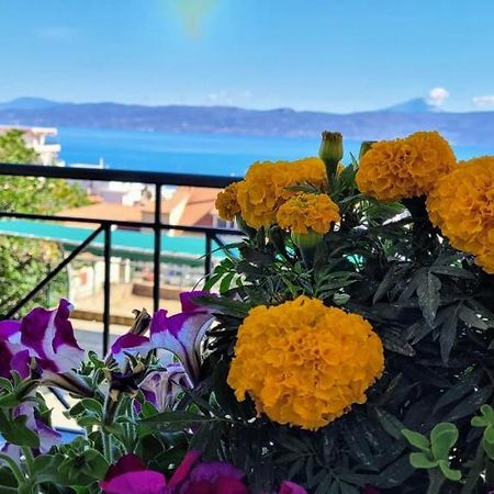 Coralli Apartment Khalkoutsion Dış mekan fotoğraf