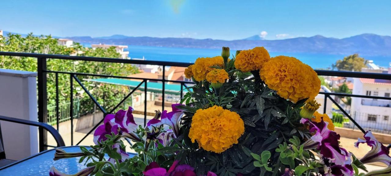 Coralli Apartment Khalkoutsion Dış mekan fotoğraf